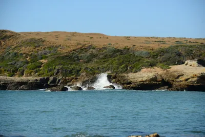 DSC_2627 (Large).JPG